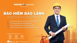 Bảo hiểm bảo lãnh và tầm quan trọng của giải pháp tài chính dành cho doanh nghiệp