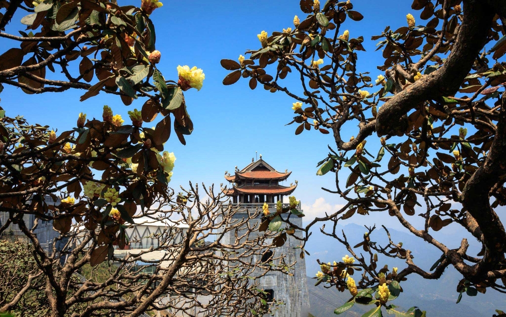 World Travel Awards khu vực Châu Á vinh danh Sun World Fansipan Legend lần 2 liên tiếp