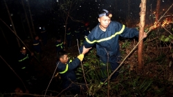 Vĩnh Phúc: Cháy rụi gần 10 ha rừng sản xuất của xã Ngọc Thanh