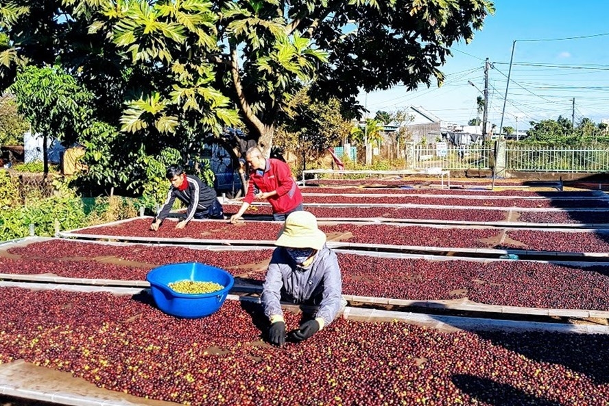 Thực thi EVFTA: Ngân hàng – “cánh tay nối dài” của doanh nghiệp nông nghiệp