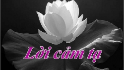 LỜI CẢM TẠ!