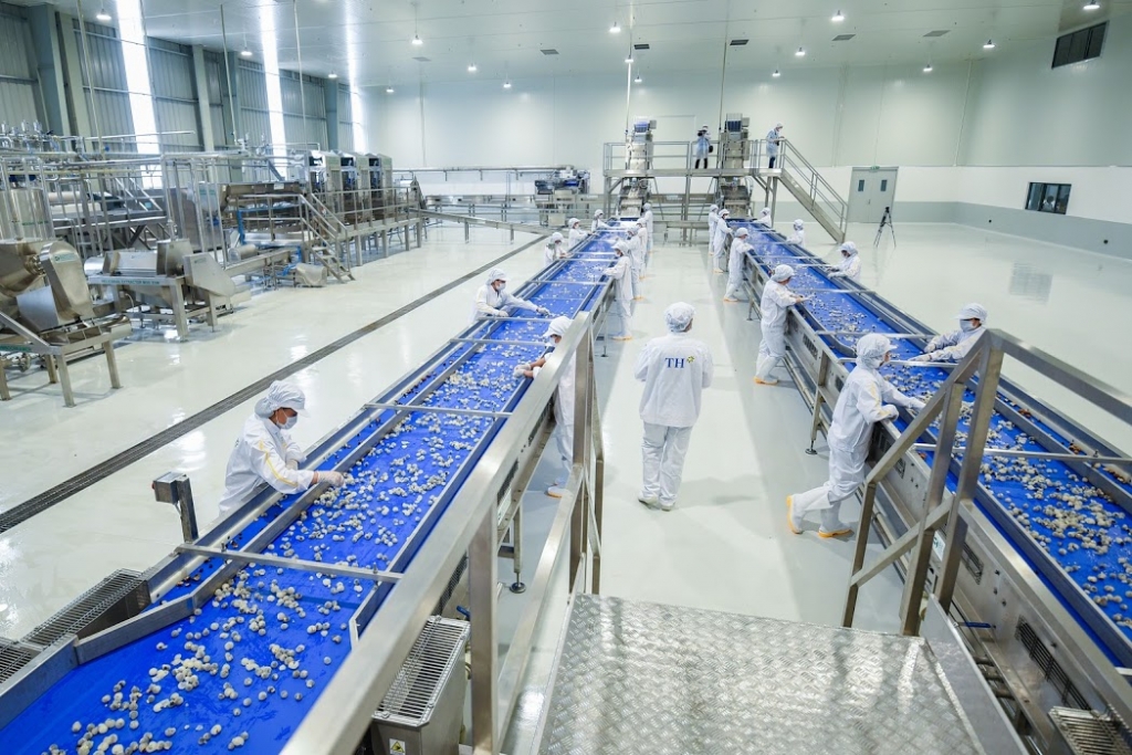 Dây chuyền công nghệ hiện đại Tập đoàn TH đầu tư tại Nhà máy chế biến hoa quả tươi và thảo dược Sơn La
