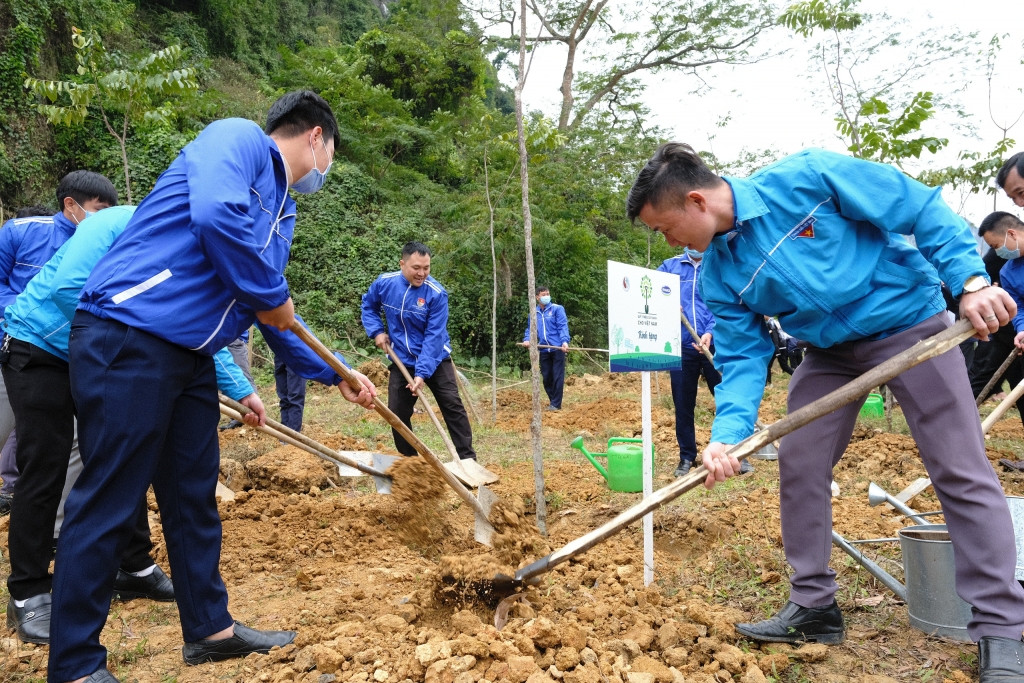 Cả nước chung sức, đồng lòng trồng mới 1 tỷ cây xanh