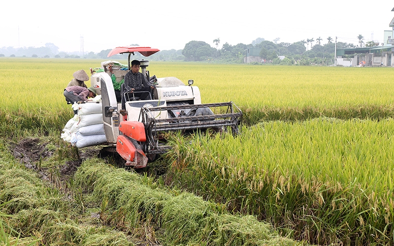 Áng thơ về miền quê đầy ắp lịch sử - Văn hóa dân tộc