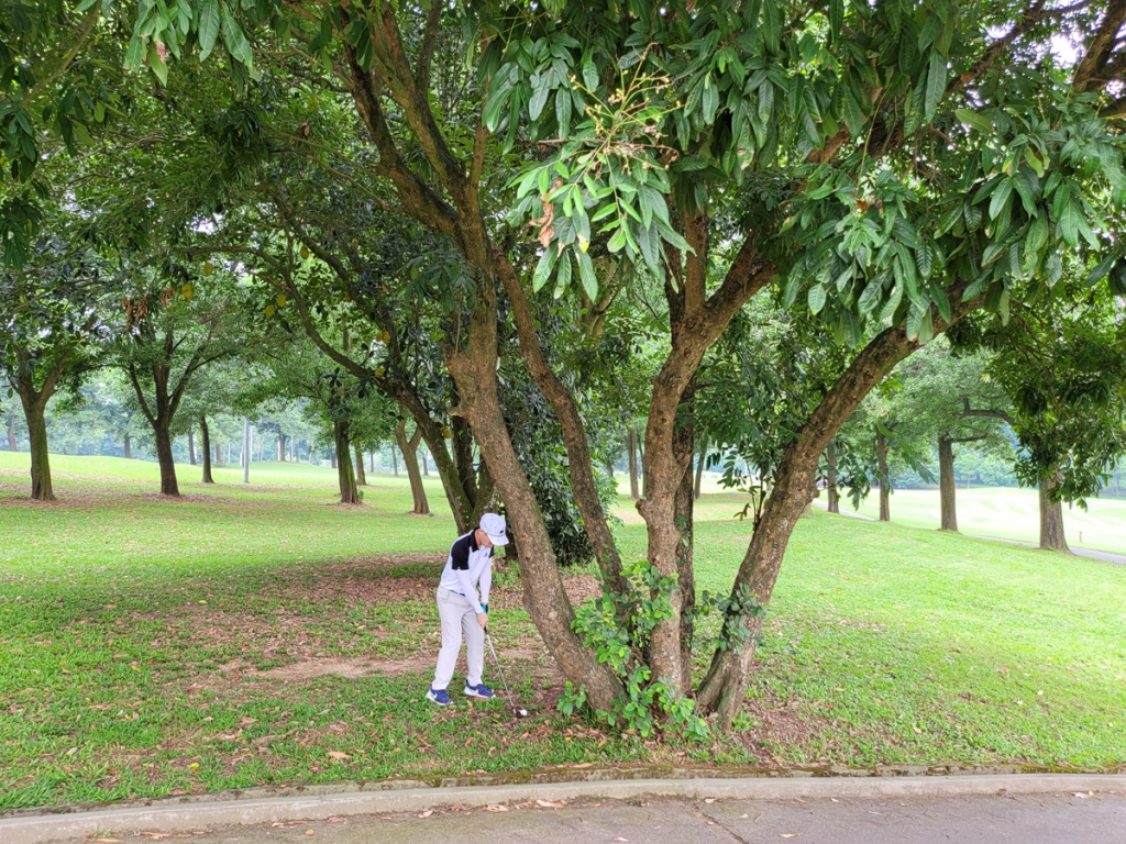 Hà Nội hoả tốc yêu cầu dừng toàn bộ golf từ 12h, ngày 13/5