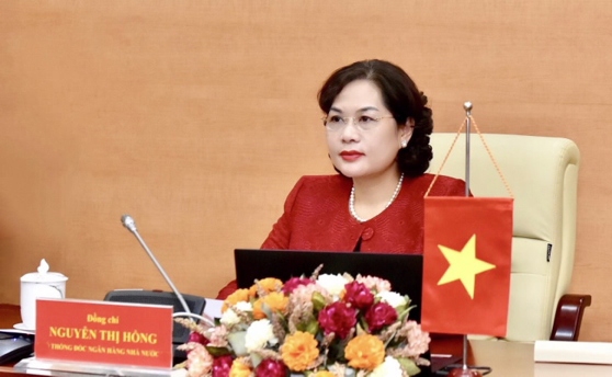Bà Nguyễn Thị Hồng,Thống đốc NHNN 