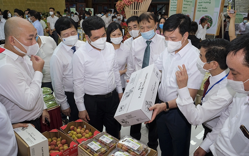 Vải thiều xuất khẩu được đóng gói đẹp mắt, thu hút người tiêu dùng.