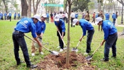 Hà Nội: Tổ chức Tết trồng cây Xuân Tân Sửu 2021 phải tuân thủ quy định phòng, chống dịch