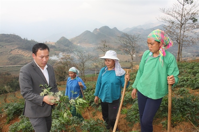 Chau-2: Anh Giàng Seo Châu là tấm gương trong sản xuất để bà con Mản Thẩn học tập