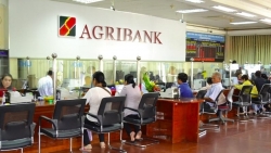 Lãi suất ngân hàng hôm nay 24/7: Agribank niêm yết kỳ hạn 1 tháng 3,1%/năm