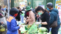 Hải Phòng: Giải cứu nông sản cho người dân huyện Tiên Lãng