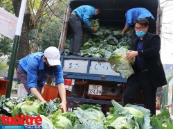 Hải Phòng: Tặng miễn phí 25.500 suất nông sản sạch cho người lao động