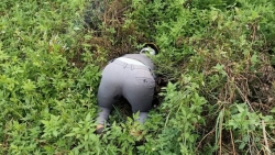 Bắc Giang: Tìm tung tích tử thi nam giới được phát hiện gần nghĩa trang