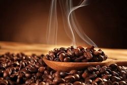 Giá cà phê hôm nay 10/1: Cà phê trong nước tiếp tục giảm
