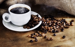 Giá cà phê hôm nay 19/1: Robusta giao dịch giảm cả trong và ngoài nước