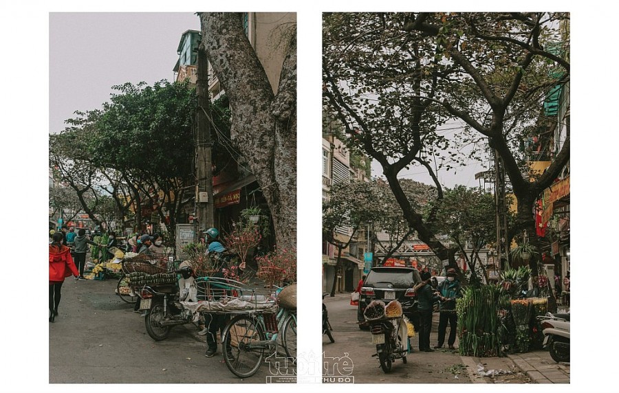 Một Hà Nội Hà Nội
