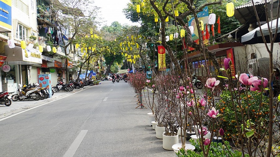 Một gian hàng bày bán hoa sớm ở phố Hàng Lược