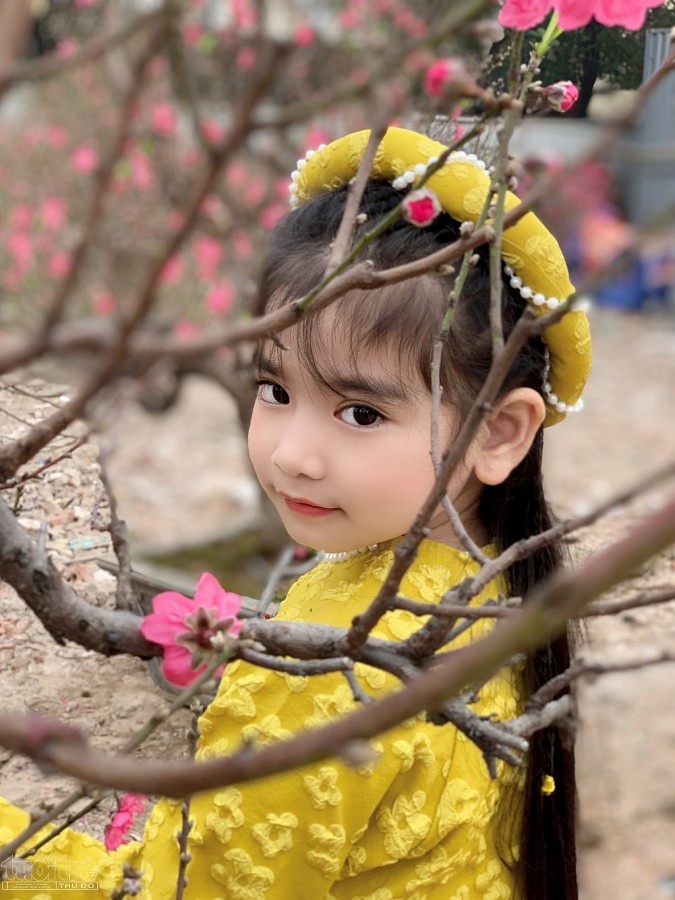 Bé Mai Bảo Châu được bố mẹ đưa đi chụp những hình ảnh đó tuổi mới trong không khí tràn sắc Xuân