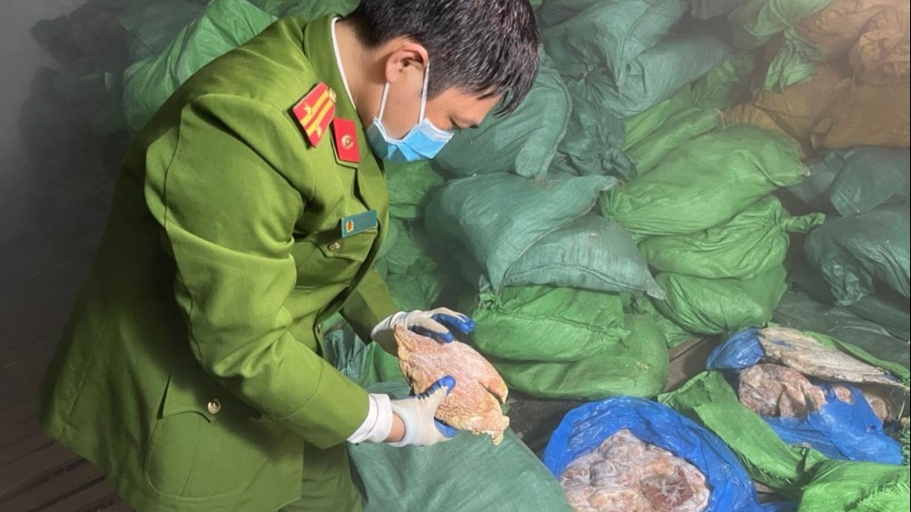 Cận cảnh gần 10 tấn nội tạng động vật không rõ nguồn gốc trong kho đông lạnh ở Thanh Oai