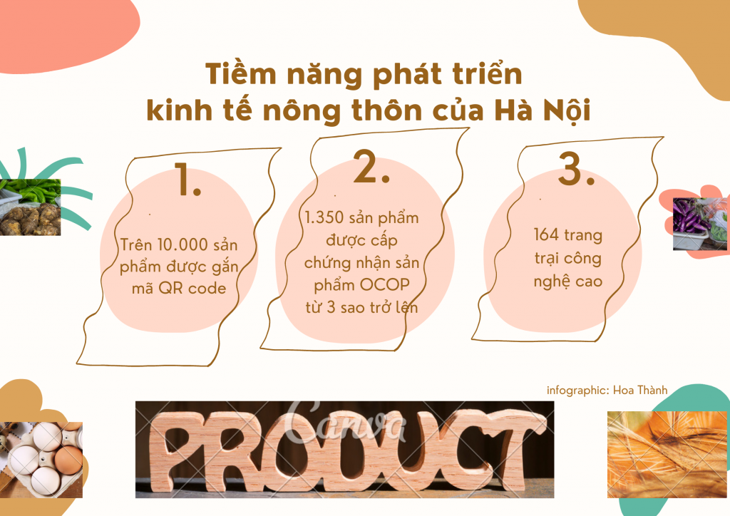 Infographic: Tiềm năng phát triển kinh tế nông thôn của Hà Nội