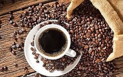 Giá cà phê hôm nay 16/9: Cà phê thế giới “lao dốc”, cà phê trong nước có biến động