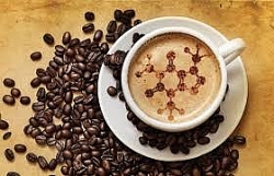 Giá cà phê hôm nay 18/9: Cà phê trong nước tiếp tục tăng nhẹ