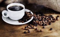 Giá cà phê hôm nay 24/9: Cà phê trong nước trên đà giảm