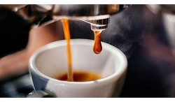 Giá cà phê hôm nay: Chưa nhiều biến động