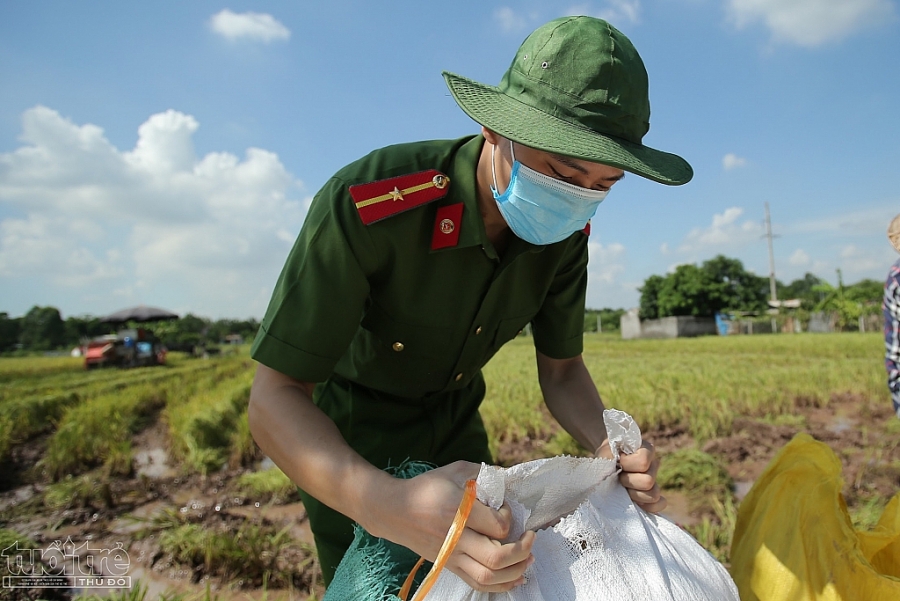 Trong số này, thậm chí còn có những chiến sĩ chưa từng cầm liềm gặt lúa, nhưng với tinh thần giúp dân, sức mạnh của tuổi trẻ, khả năng ứng biến linh hoạt, chỉ sau vài lần hướng dẫn, động tác đã nhanh, dứt khoát hơn.