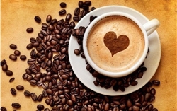 Giá cà phê hôm nay 2/10: Chưa dứt đà giảm