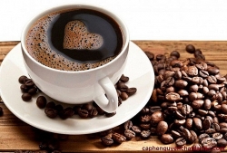 Giá cà phê hôm nay 15/10: Tăng trung bình 400 đồng/kg