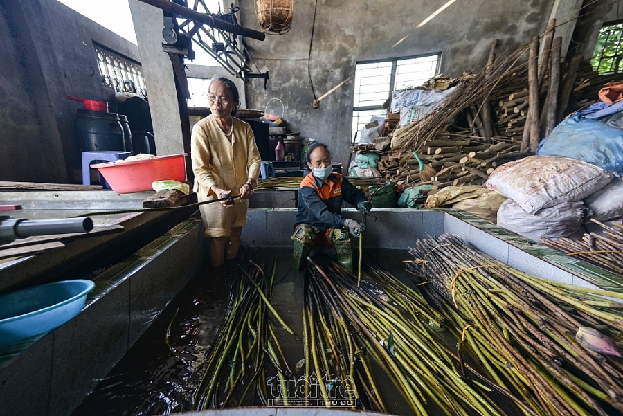 Tơ sen giữ hồn lụa Việt