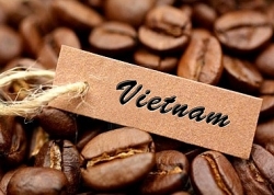 Giá cà phê hôm nay 30/11: Cà phê Việt “đứng yên” chốt phiên cuối tháng