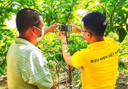 Bưu điện Việt Nam nỗ lực hỗ trợ nông dân “lên sàn” thương mại điện tử