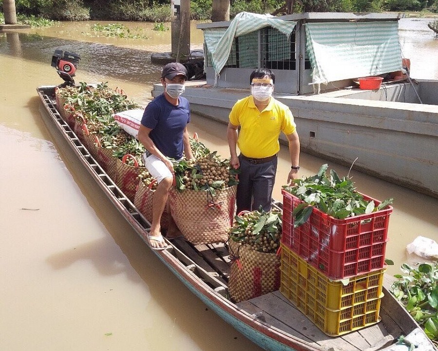 Mô hình gắn du lịch và tiêu thụ nông sản ở Đồng Tháp đã phần nào phát huy hiệu quả nhờ sự hỗ trợ tích cực của Bưu điện Đồng Tháp