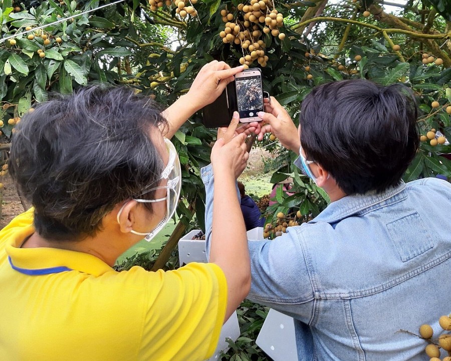 Cán bộ Bưu điện Đồng Tháp hướng dẫn người dân đưa nông sản lên sàn thương mại điện tử Postmart.vn