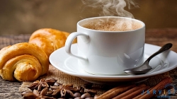 Giá cà phê hôm nay 9/12: Cà phê trong nước giảm nhẹ, cà phê thế giới “không phanh”