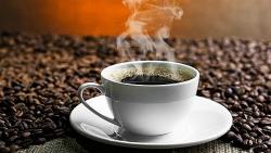 Giá cà phê hôm nay 10/12: Cà phê trong nước gần như đứng yên