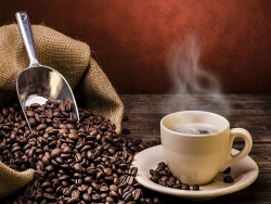 Giá cà phê hôm nay 23/12: Cà phê trong nước giảm nhẹ chung xu hướng cà phê thế giới