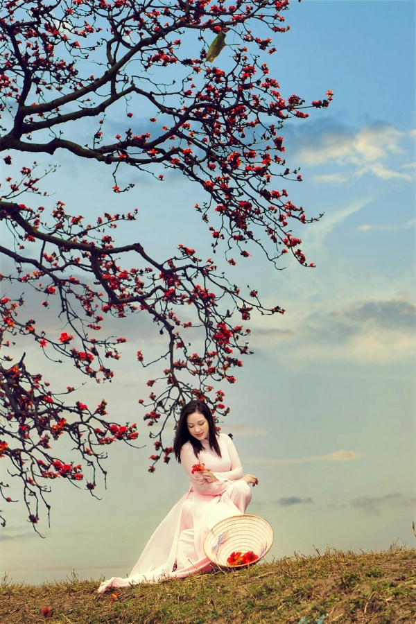 Hoa gạo