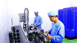 Đến năm 2030, Hà Nội là trung tâm khởi nghiệp sáng tạo của cả nước