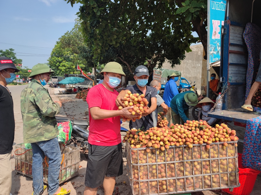 Trần Xuân Sơn, Giám đốc Công ty TNHH XNK Hoa Quả Sơn cùng cộng đồng doanh nhân Eagle Camp tiêu thụ được hơn 200 tấn vải thiều