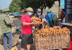 Chung tay giúp nông dân Bắc Giang tiêu thụ nông sản