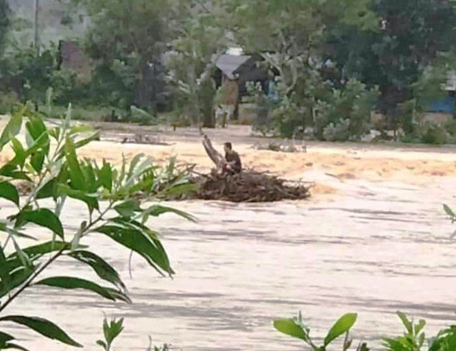 Ông Tự bị cuốn trôi, nhưng rất may vớ được bụi cây để bám giữa dòng sông lũ chảy xiết