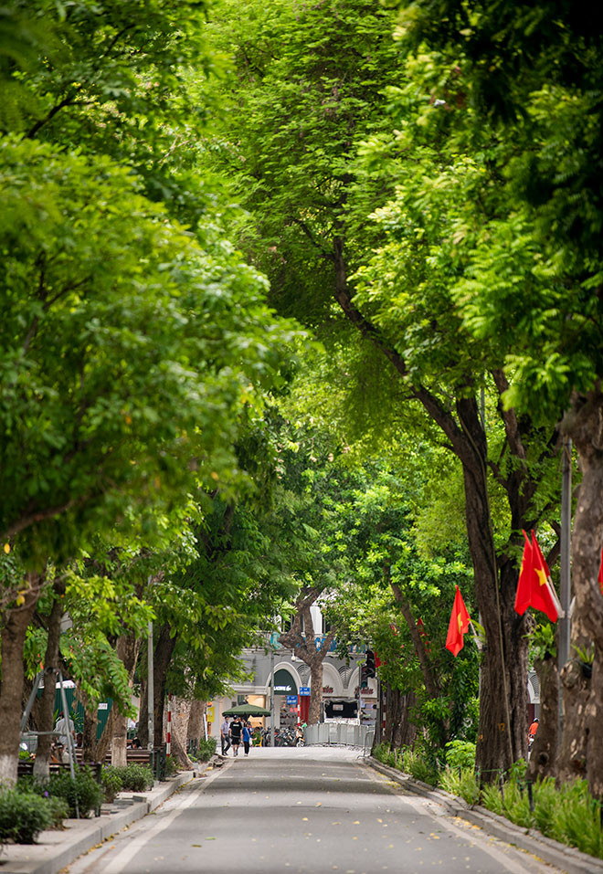 bat ngo hinh anh pho di bo ha noi vang nhu tet ngay cuoi tuan