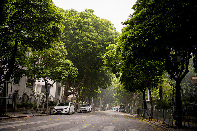 bat ngo hinh anh pho di bo ha noi vang nhu tet ngay cuoi tuan