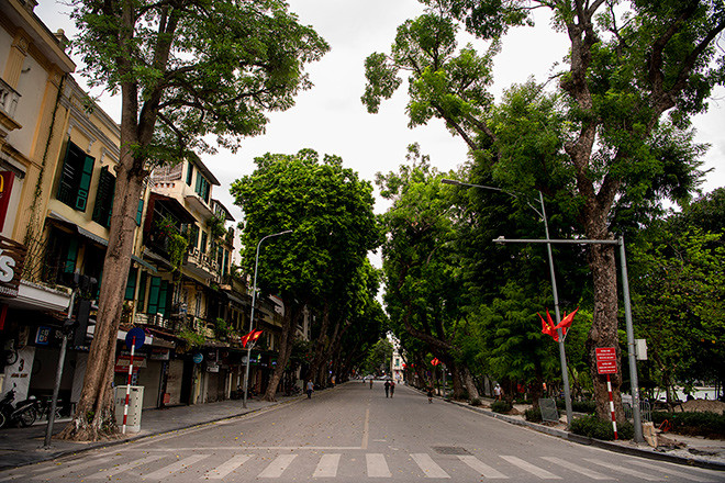 bat ngo hinh anh pho di bo ha noi vang nhu tet ngay cuoi tuan