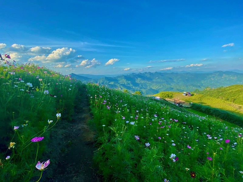 API muốn đầu tư Khu đô thị du lịch nghỉ dưỡng “Sa Pa thứ 2” 4.000ha tại Bắc Kạn