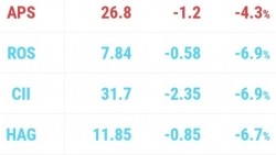 Nhóm cổ phiếu đầu cơ tiếp tục nằm sàn