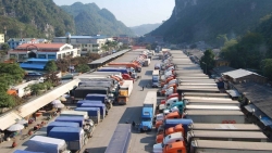 Lạng Sơn ngừng tiếp nhận, hàng nghìn xe chở nông sản vẫn ùn ứ ở cửa khẩu